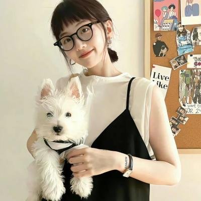 新大头儿子和小头爸爸