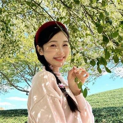 夏日最后的玫瑰